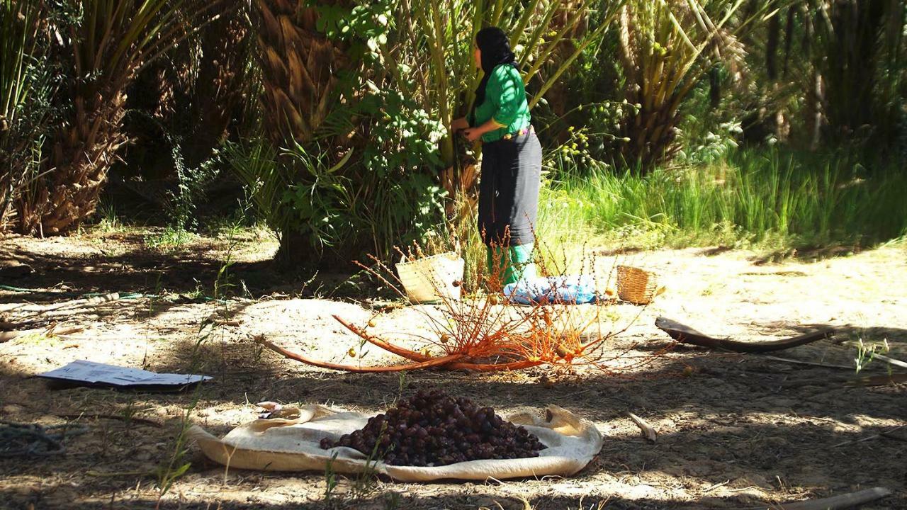 Aoufous Gite Tamlli المظهر الخارجي الصورة