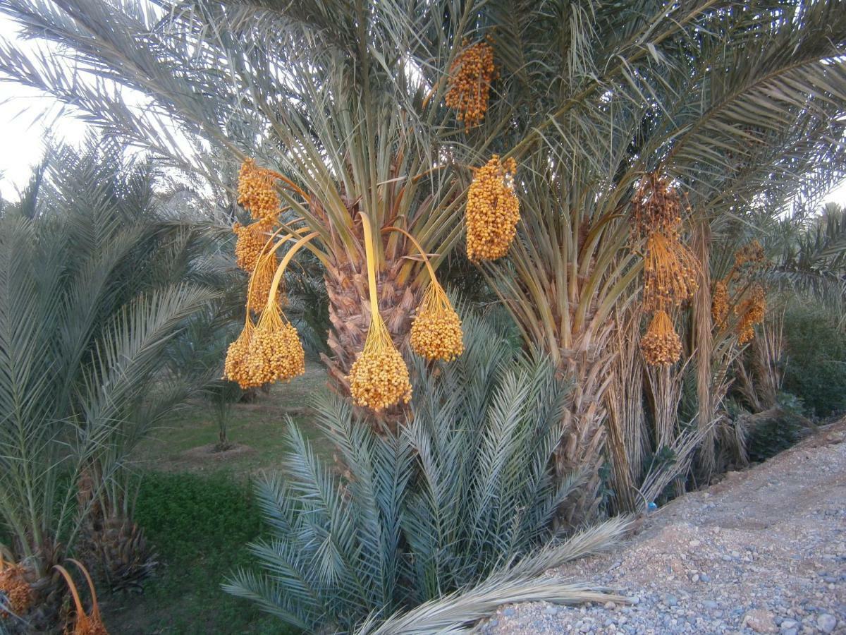 Aoufous Gite Tamlli المظهر الخارجي الصورة