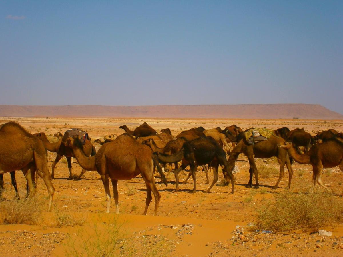 Aoufous Gite Tamlli المظهر الخارجي الصورة